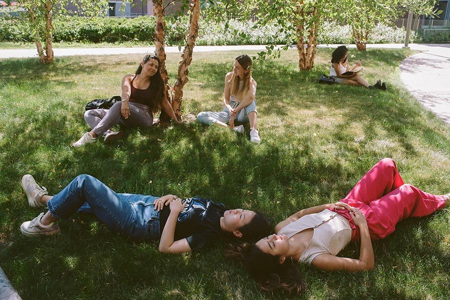 students relaxing randomly under campus trees